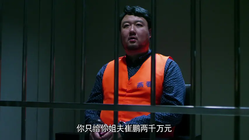 人民检察官 22集