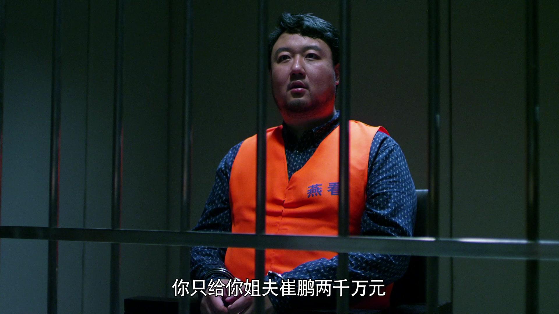 人民检察官 第22集视频封面图