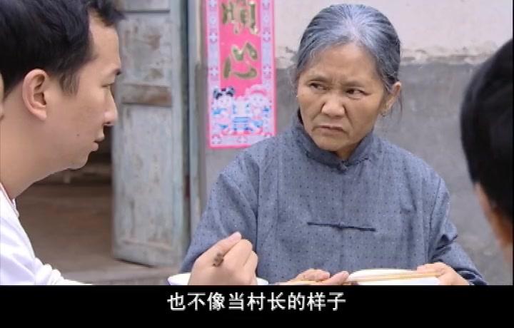 莲花闹海棠 第4集视频封面图