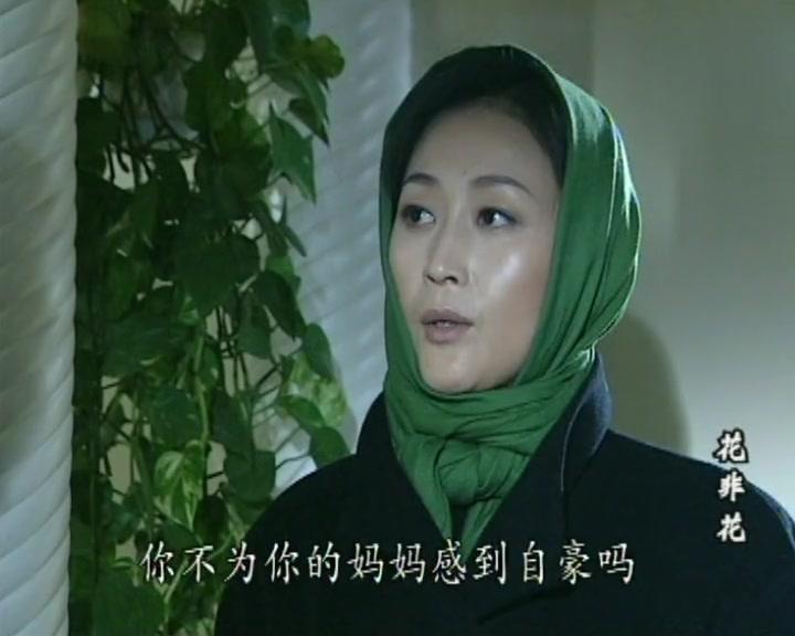 花非花 第21集视频封面图