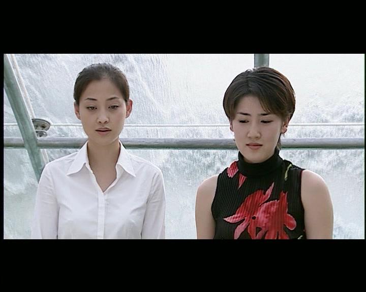 绿萝花 第19集视频封面图