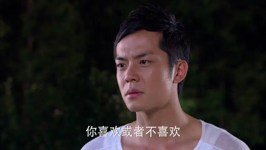 花非花雾非雾第一部 15集