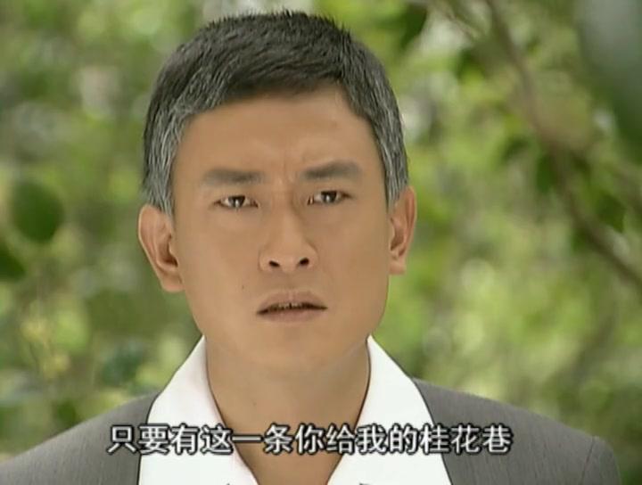 辛家媳妇 第24集视频封面图