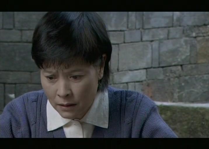 阳光普照大地 第13集视频封面图