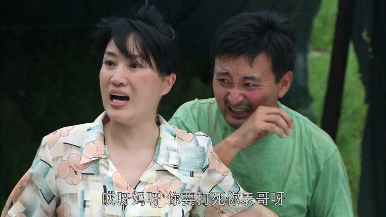 追求幸福的日子 第1集视频封面图