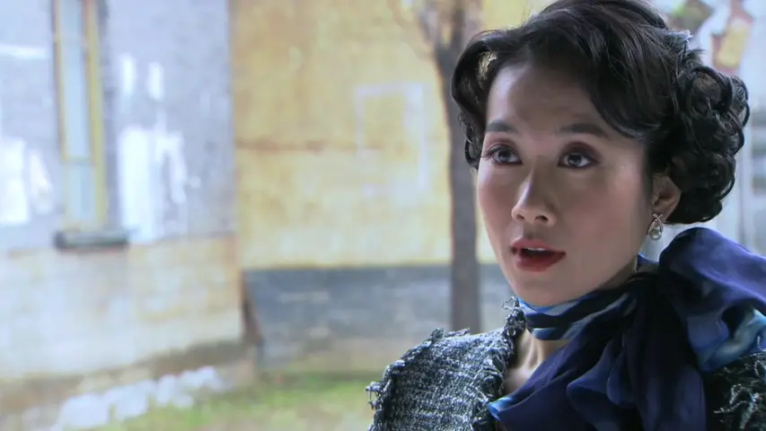 女人的抗战 16集