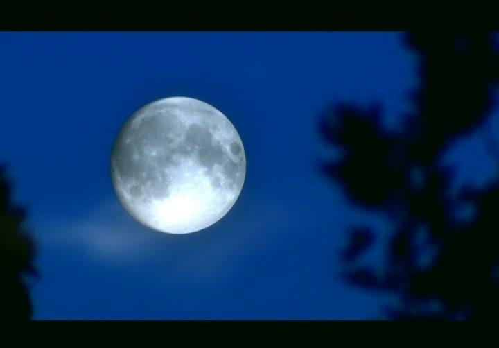 空巷子 第12集视频封面图