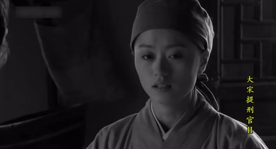 大宋提刑官第二部 32集