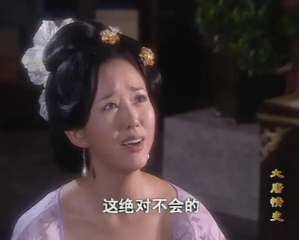 大唐情史 14集