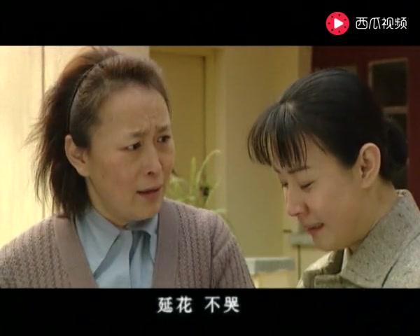 追日 第16集视频封面图