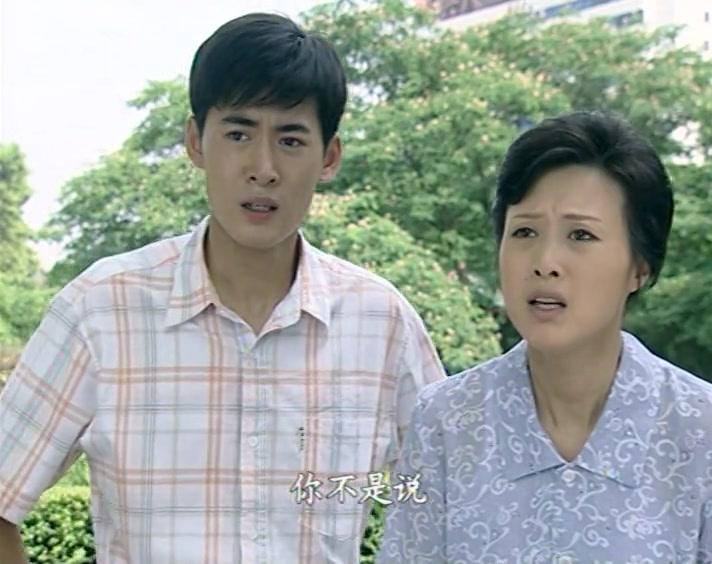 悠悠寸草心 第29集视频封面图