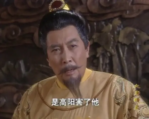 大唐情史 28集
