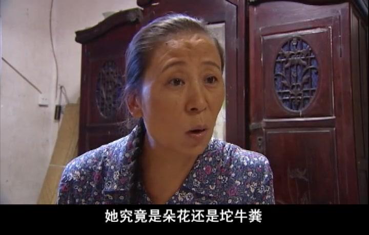 莲花闹海棠 第19集视频封面图