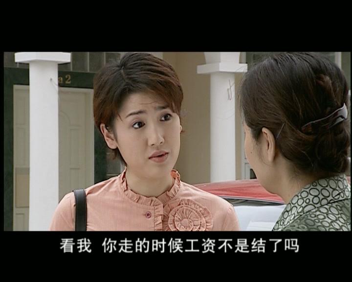 绿萝花 第13集视频封面图