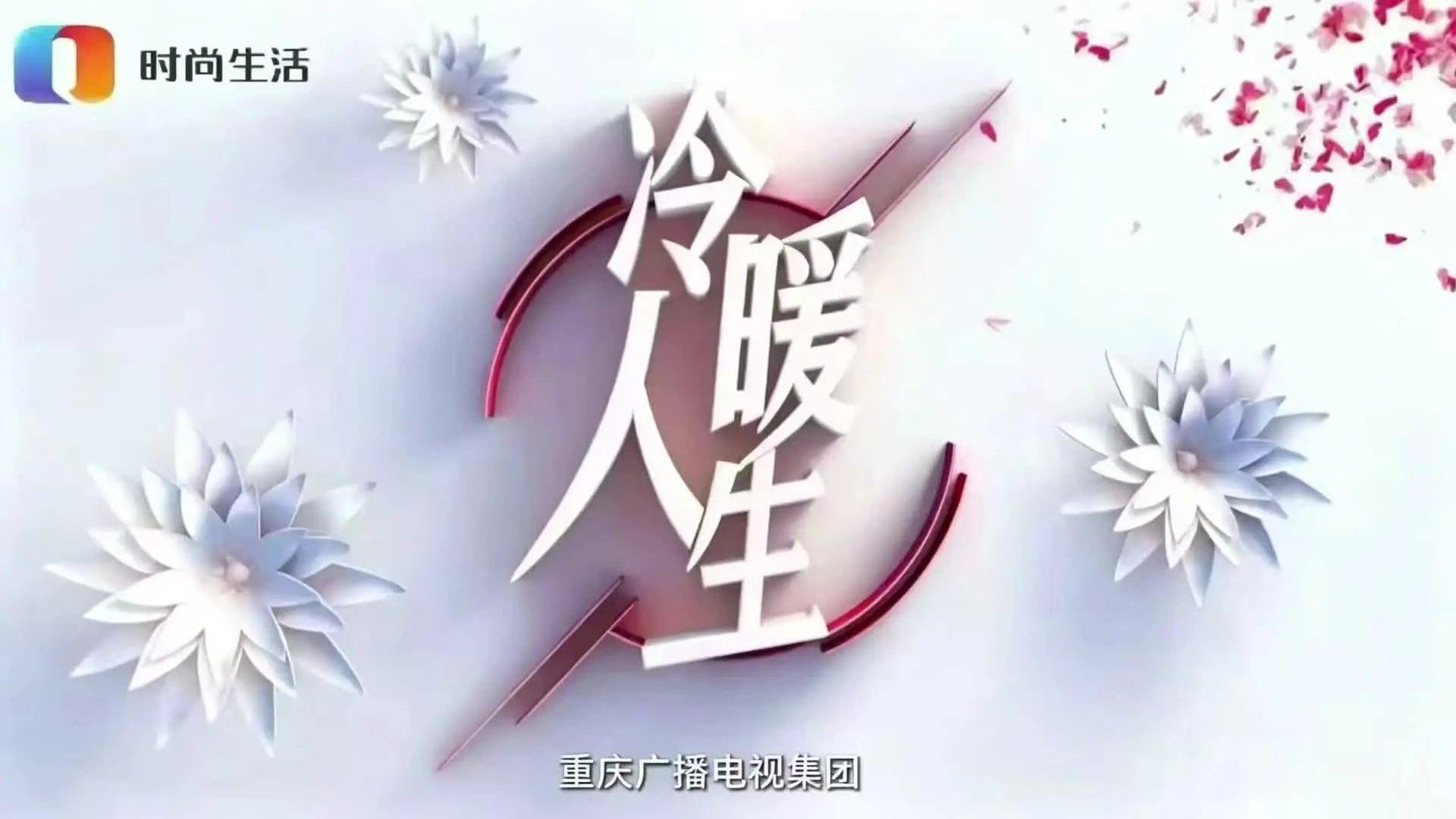 姐夫姐夫我的哥 2集