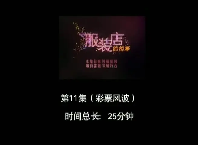 服装店的故事 11集