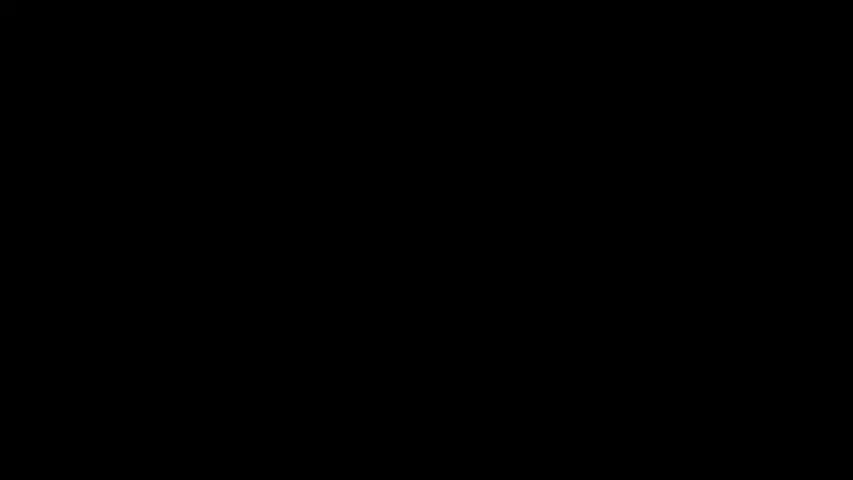假凤虚凰第二部 10集