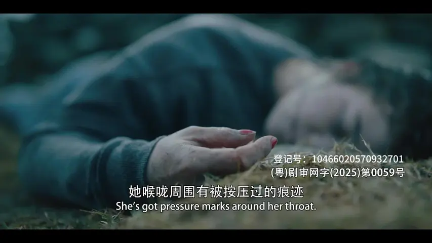 设得兰谜案第八季 6集