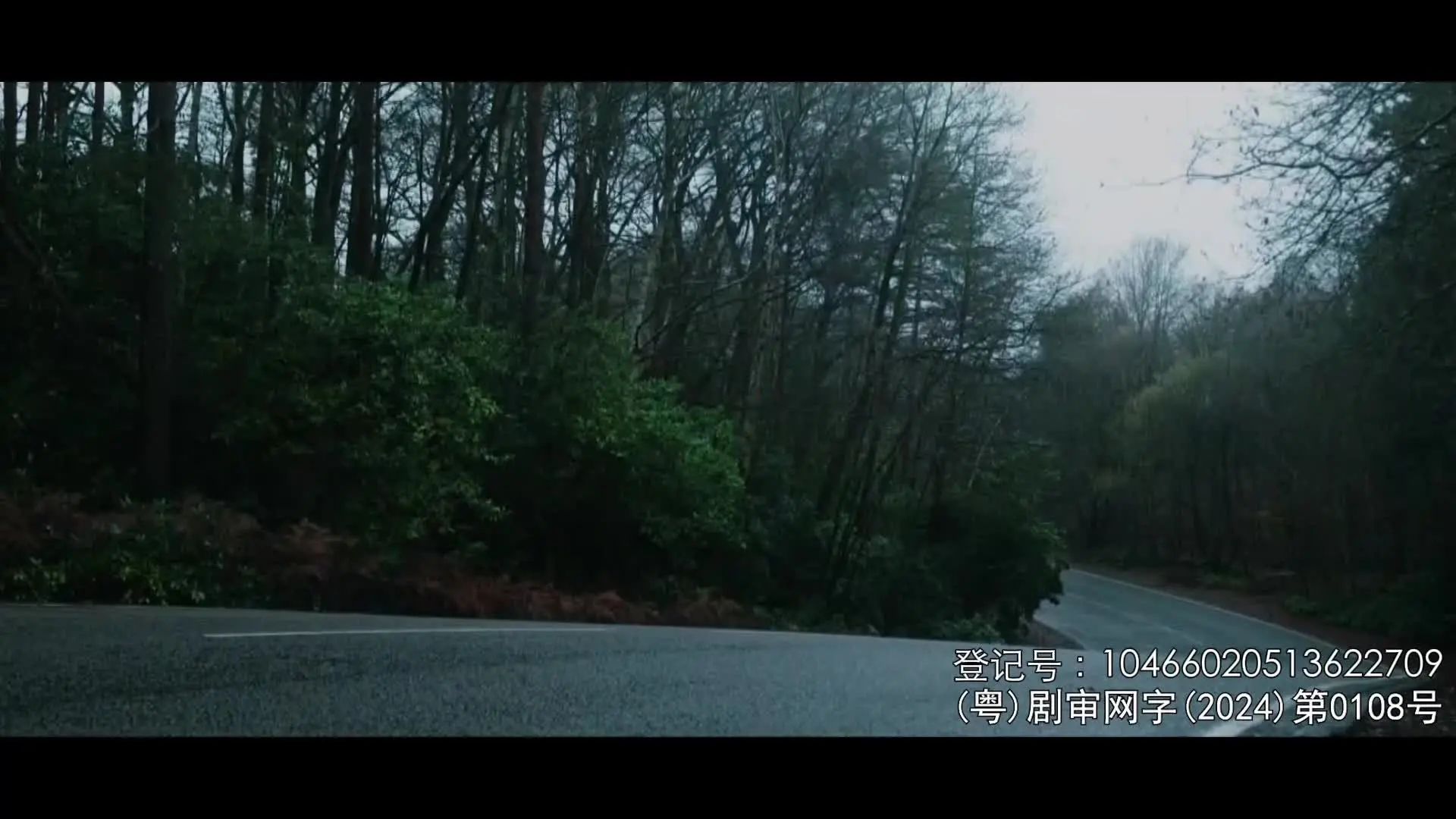两周后就死 3集