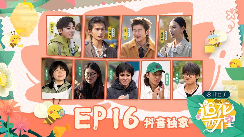 《追花两万里》第16期