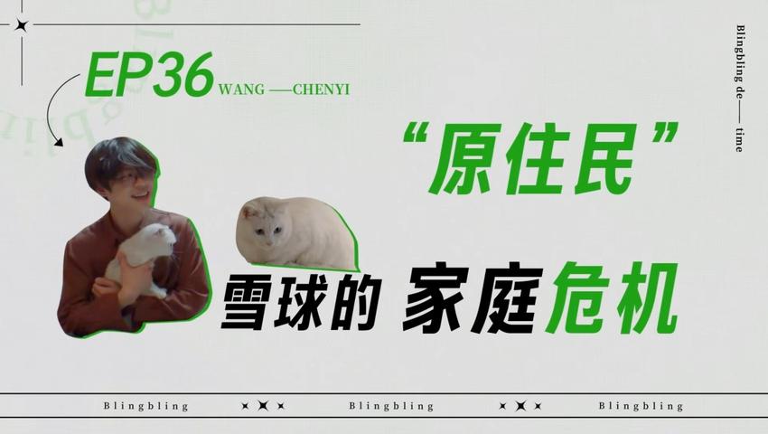 《闪亮的日子》第36期
