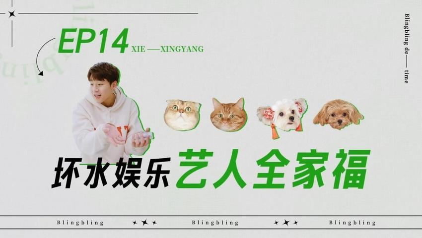 《闪亮的日子》第14期