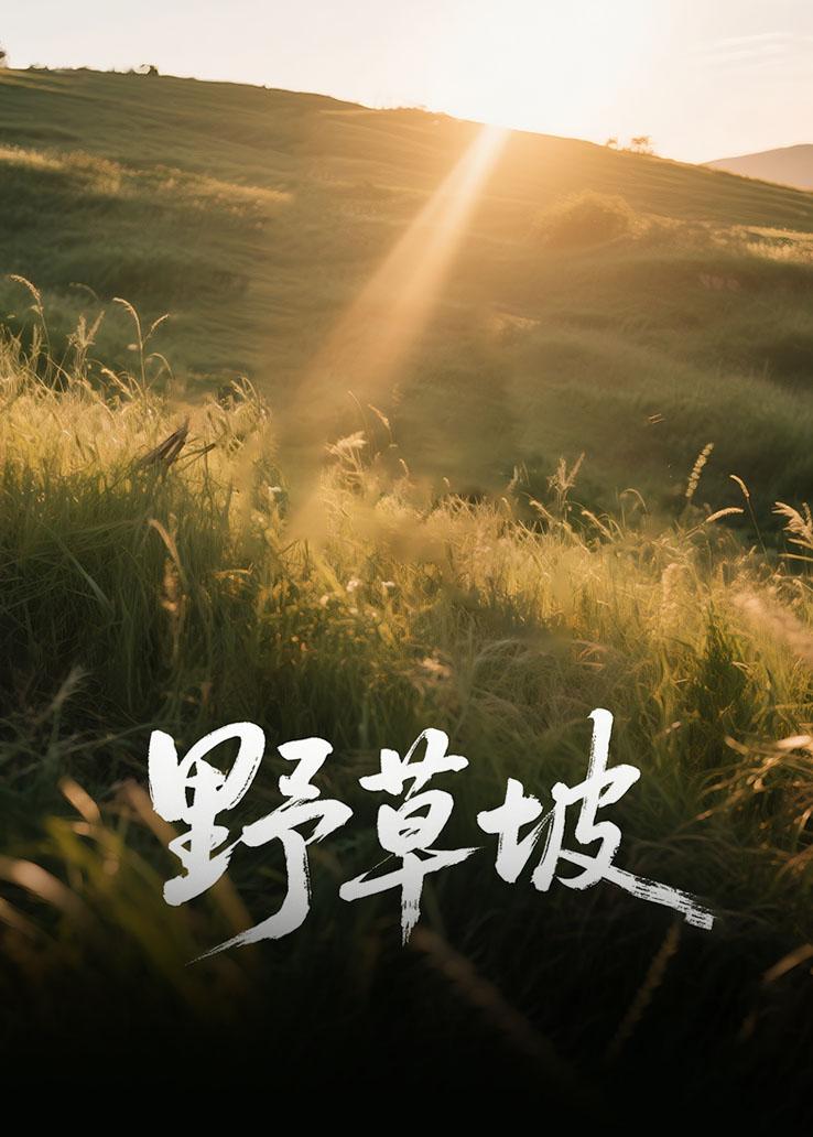 野草坡
