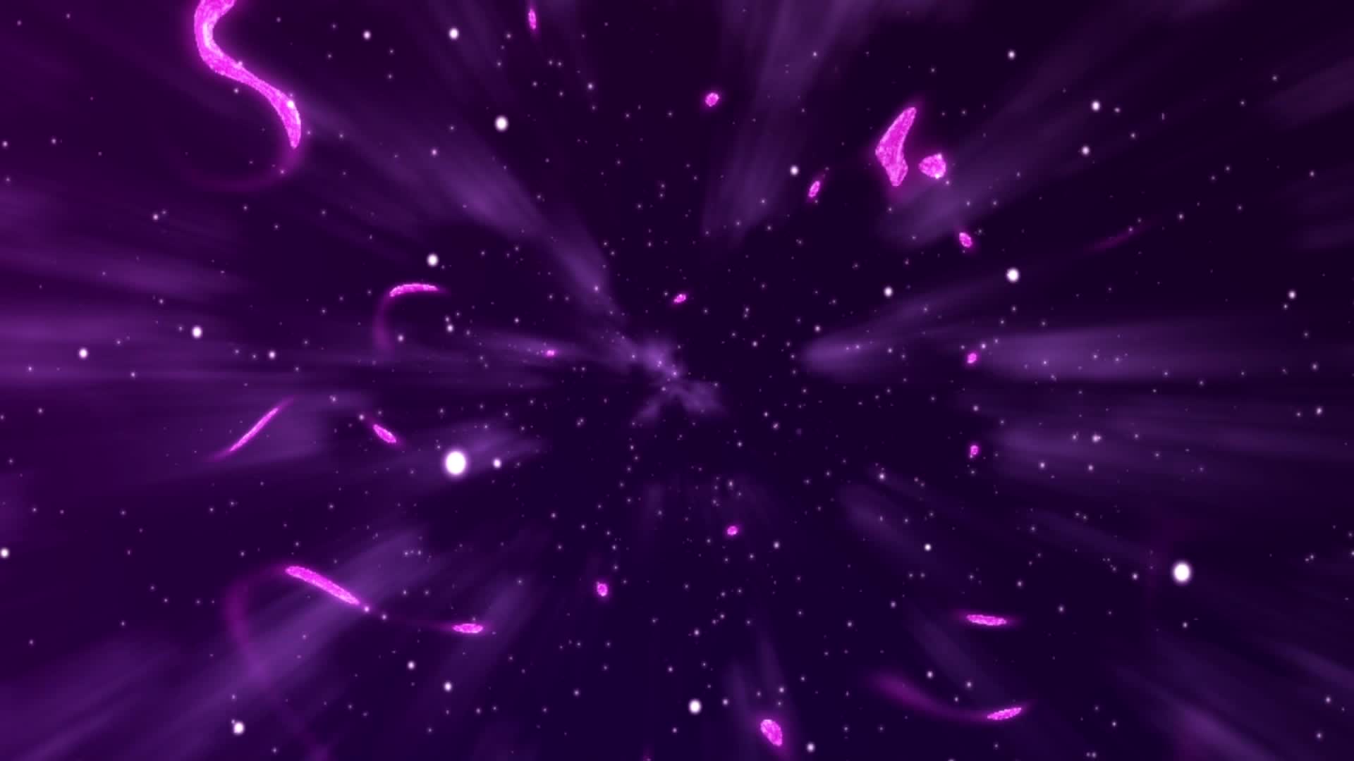 蔬菜不寂寞第二十八季 第8集视频封面图