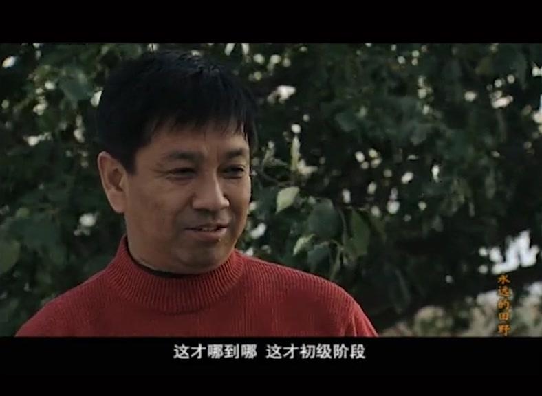 永远的田野 第24集视频封面图