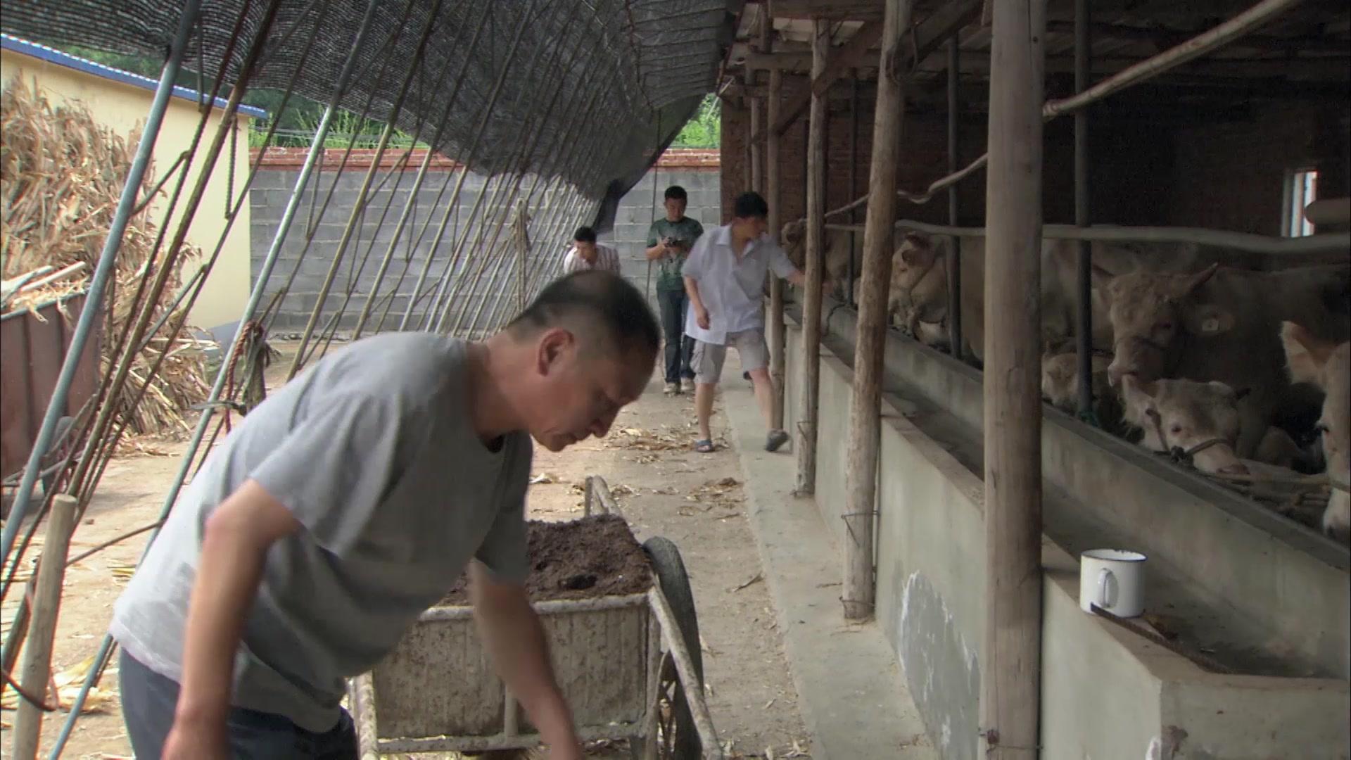 老家门口唱大戏 第8集视频封面图