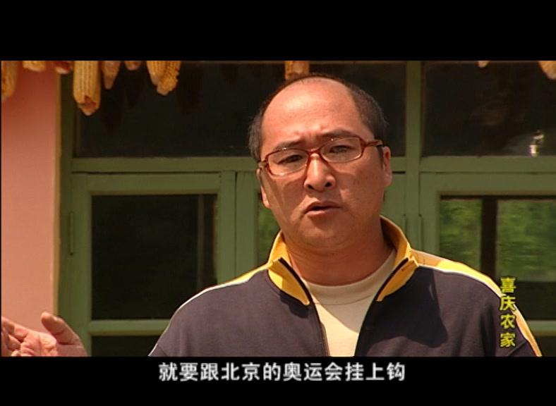 喜庆农家 第14集视频封面图