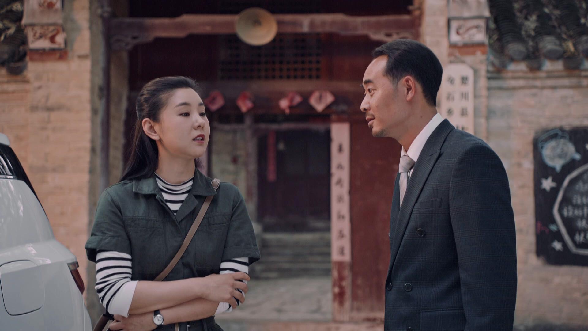 花开山乡 第19集视频封面图