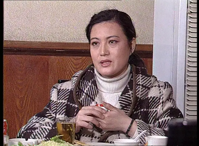 平平常常的故事 4集
