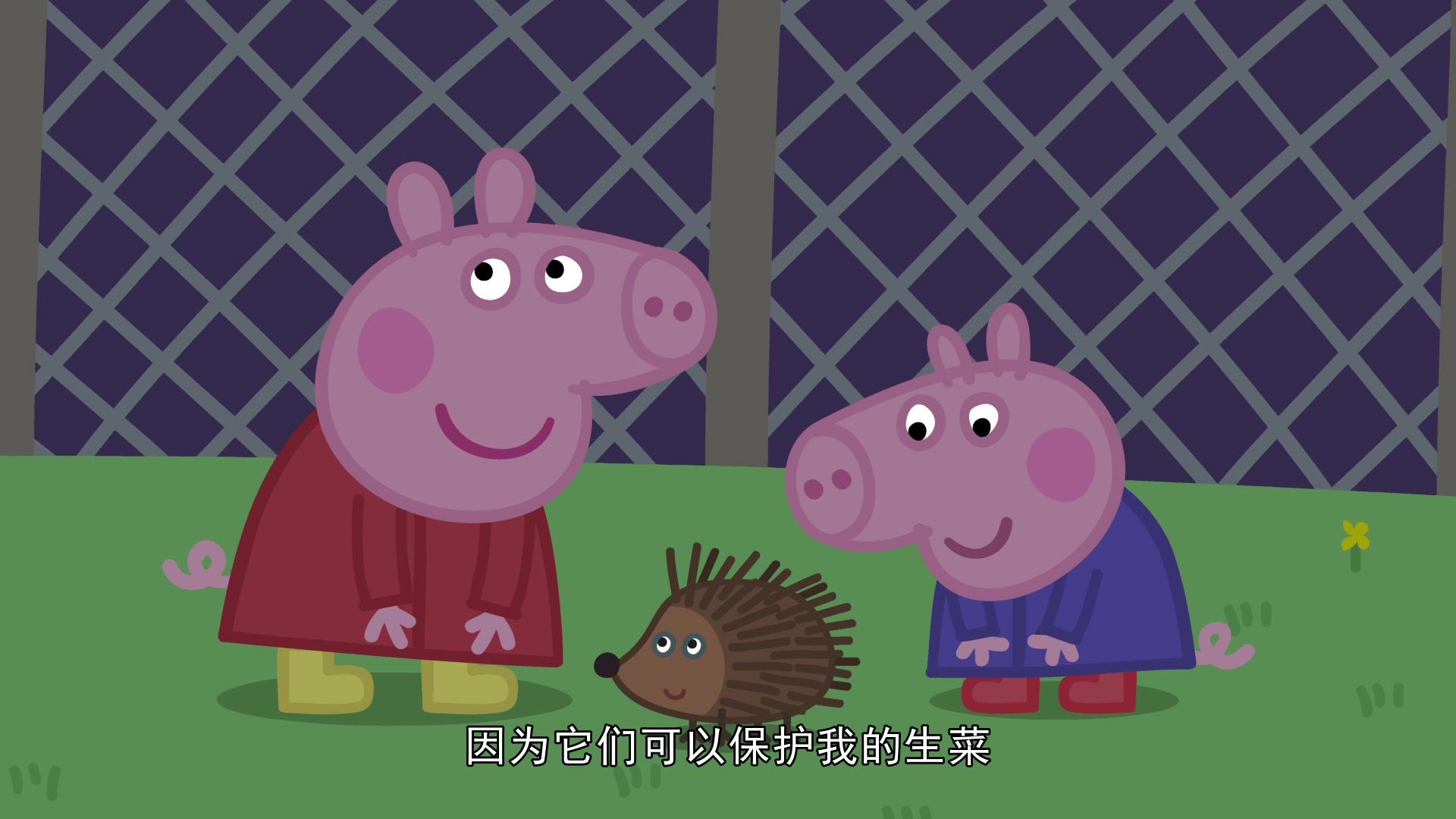 小猪佩奇第六季 第9集视频封面图