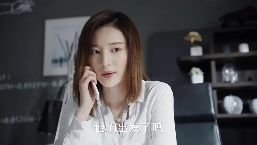 极速救援 17集