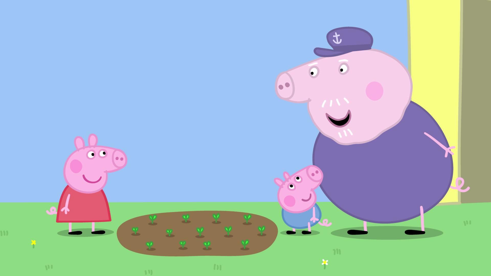 小猪佩奇之爱好来培养 第21集视频封面图
