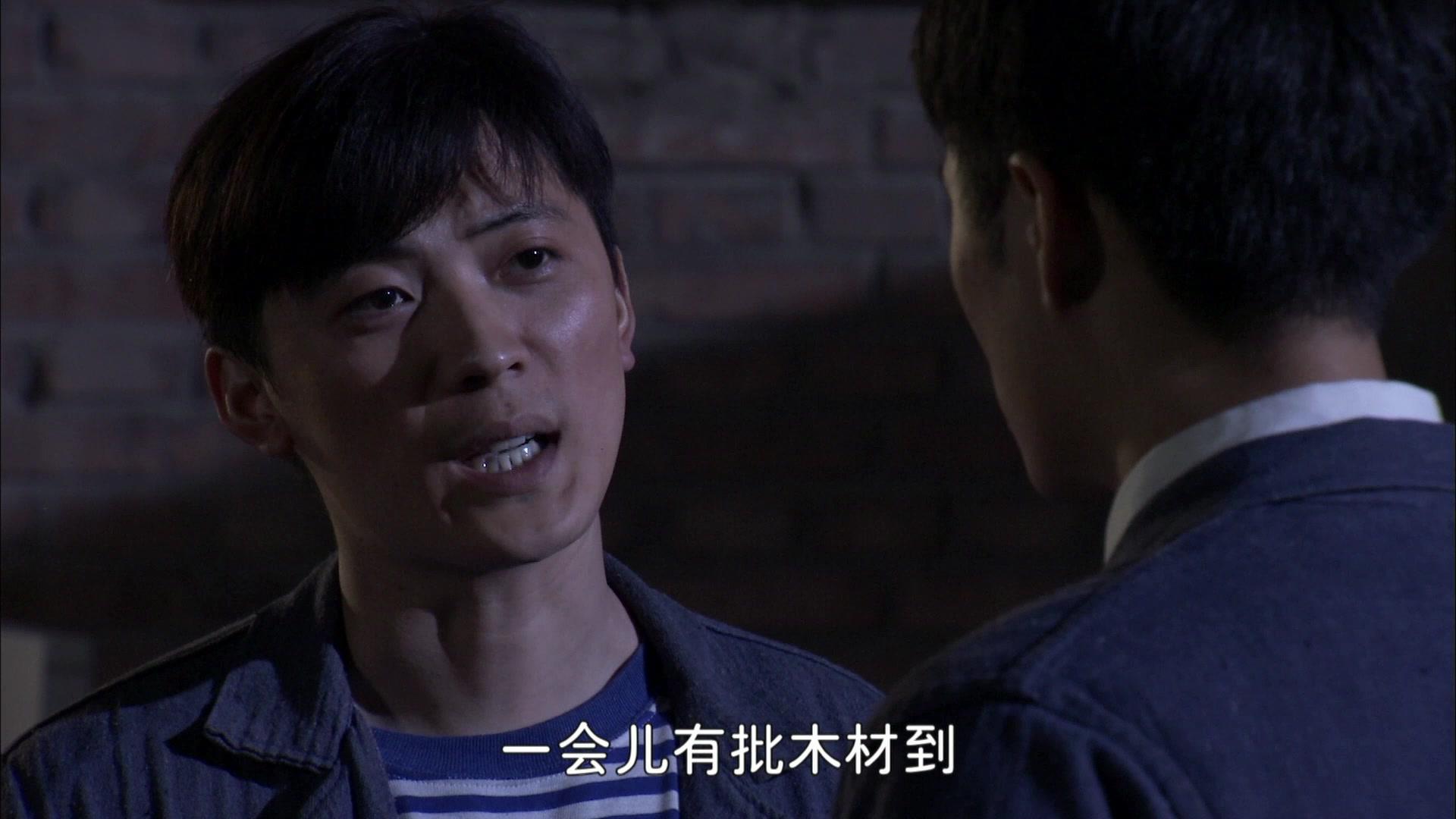 养母 第29集视频封面图