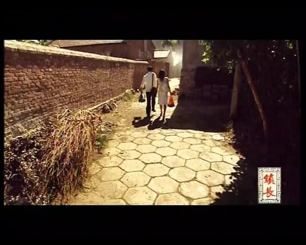 镇长 7集