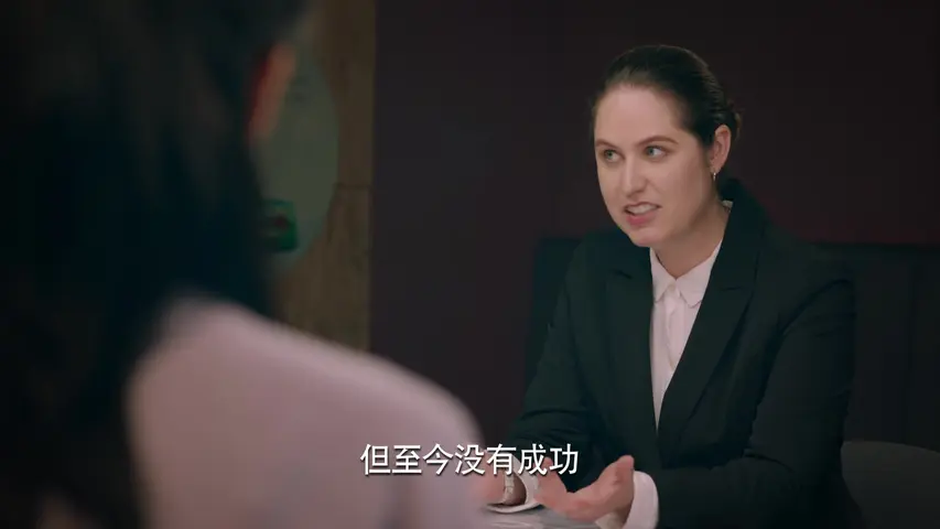 梦在海这边 28集