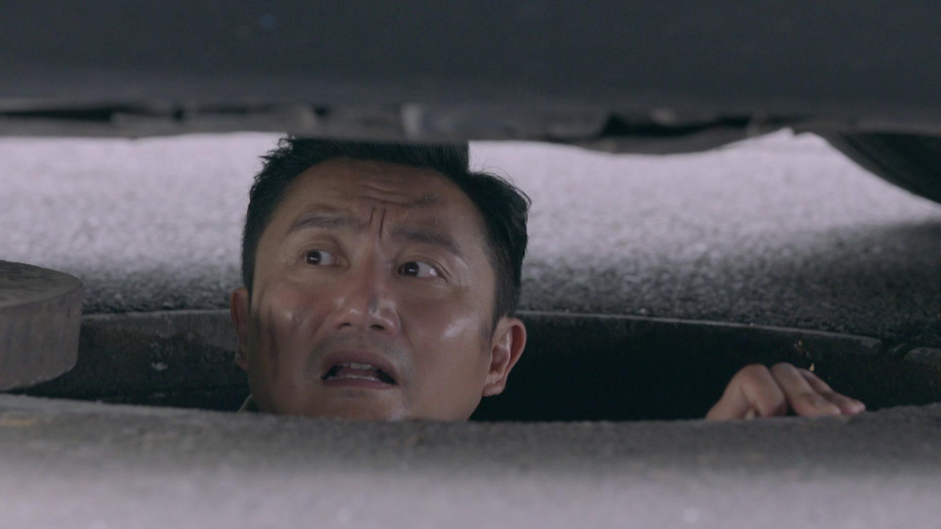 极品一家人 第4集视频封面图