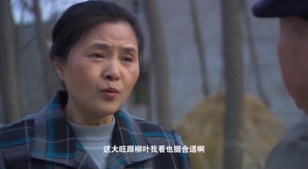 村支书 第12集视频封面图