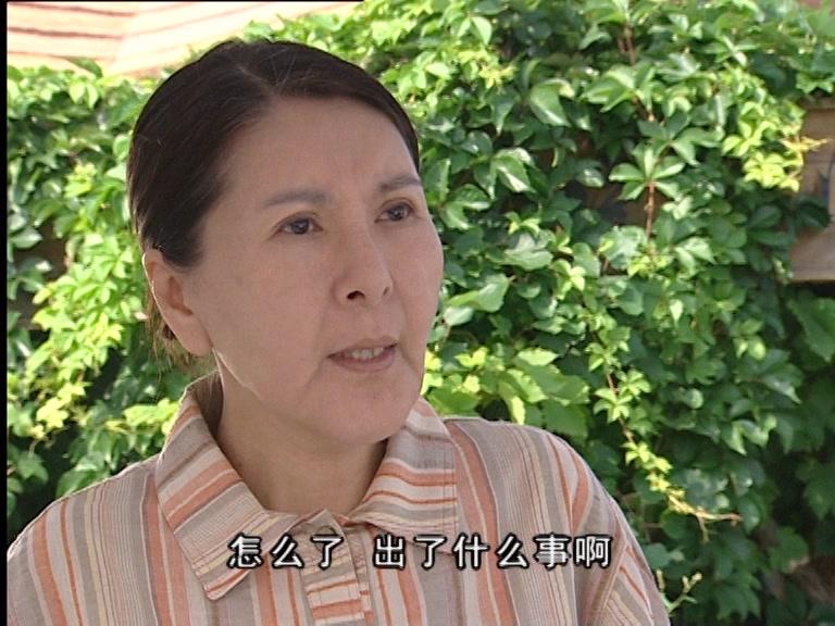 陪你到世界的尽头 第31集视频封面图