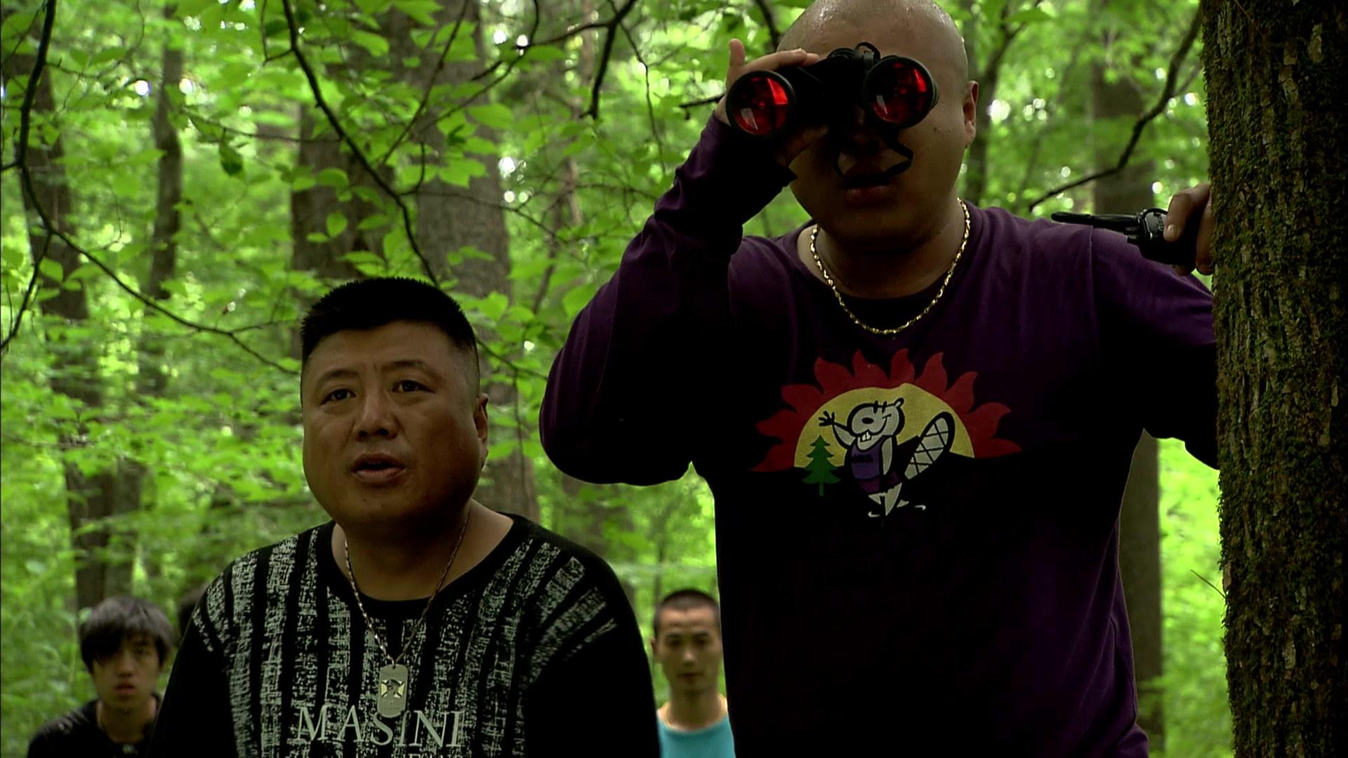 又是一年山林绿 第29集视频封面图