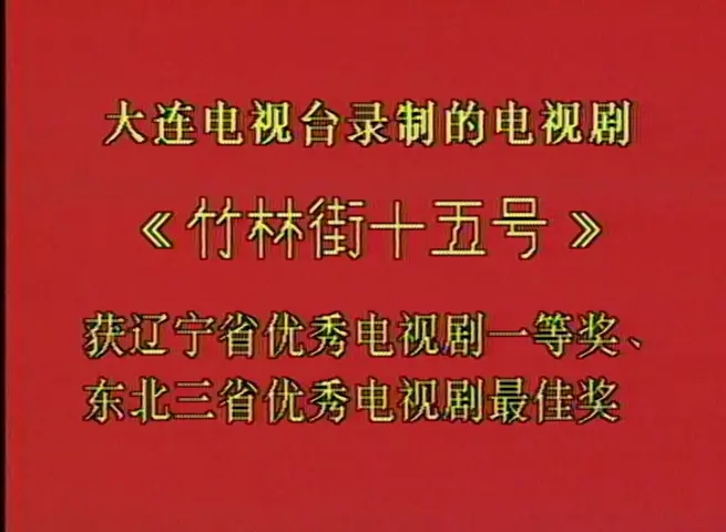 竹林街十五号 3集