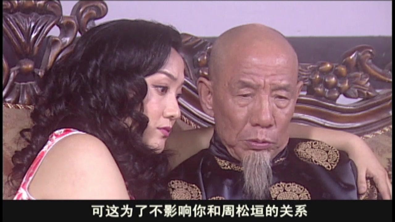 军统枪口下的女人之潜伏 第12集视频封面图