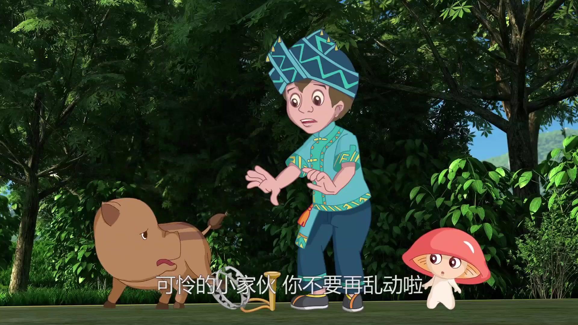 喀斯特神奇之旅第一季 第13集视频封面图