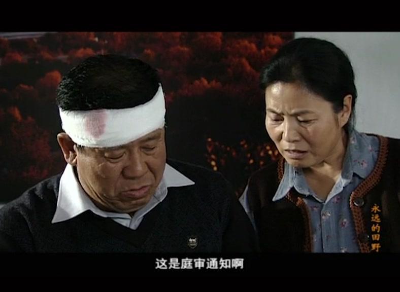 永远的田野 第25集视频封面图