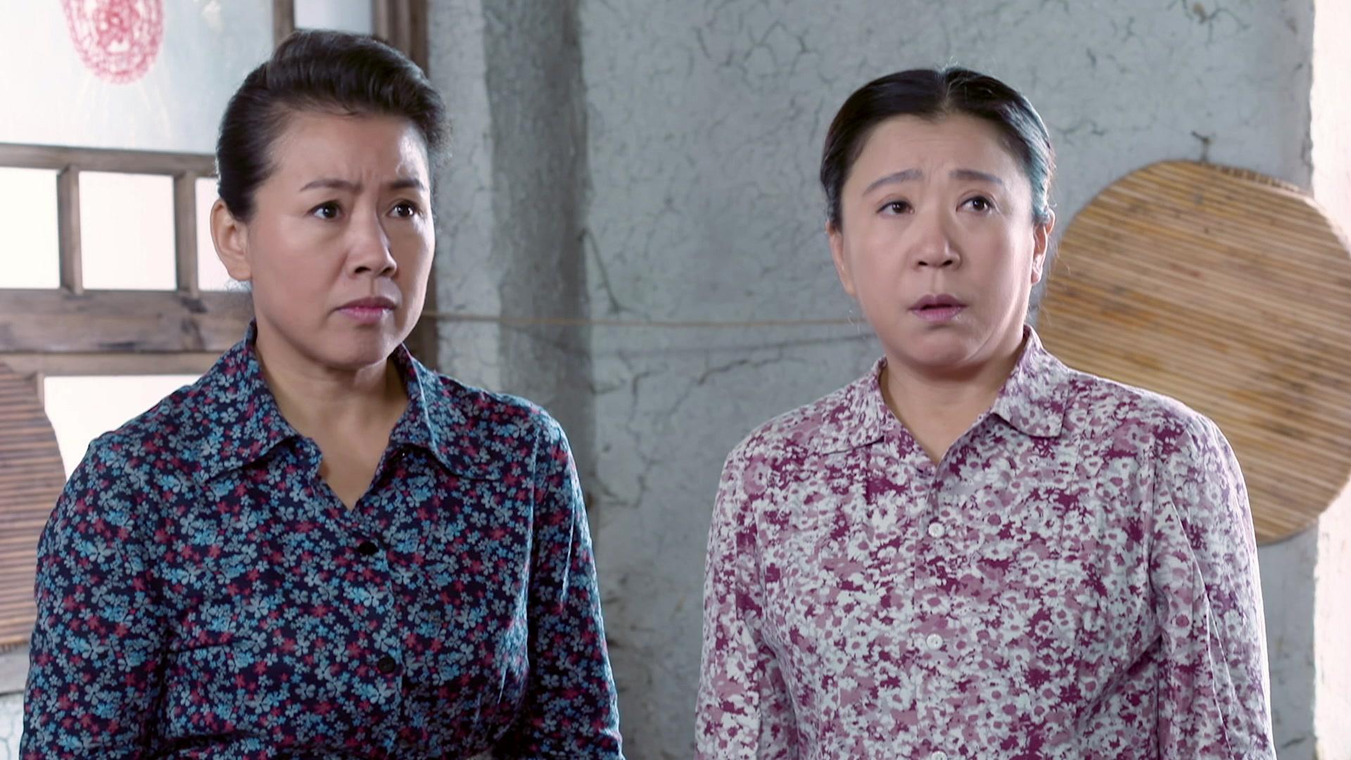 青谷子 第28集视频封面图