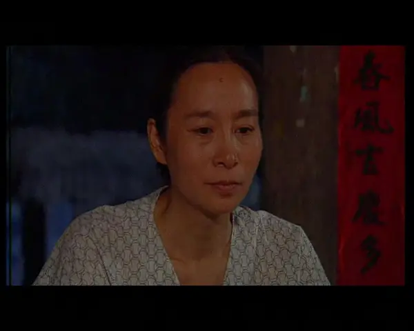 人间传奇之母爱十三宗 14集