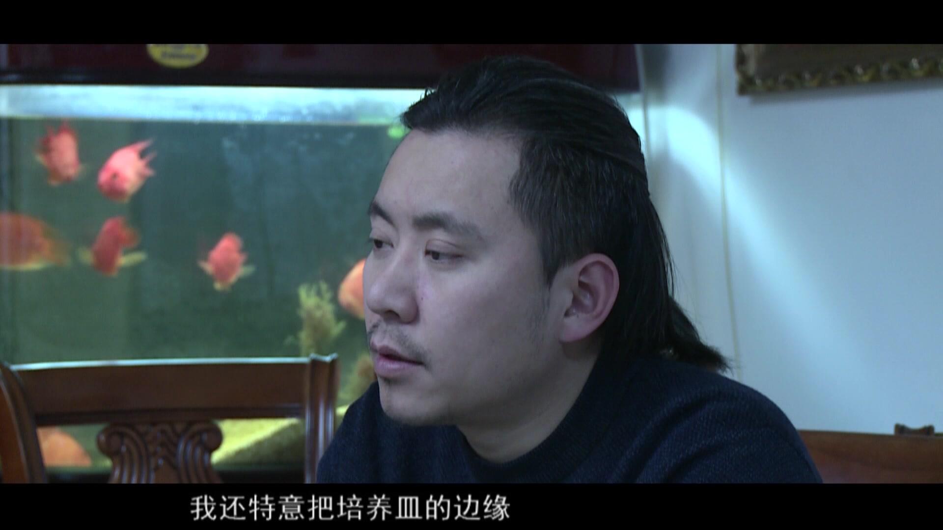 迷局第二部 第37集视频封面图
